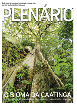 #revistaplenario